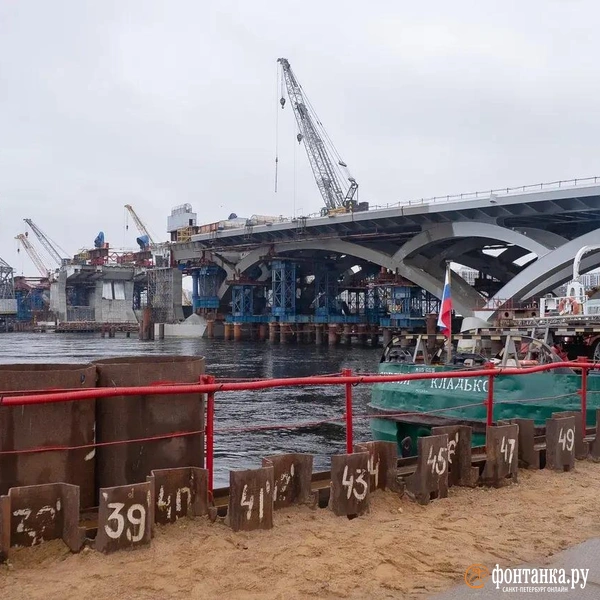 Источник: Сергей Николаев / «Фонтанка.ру»