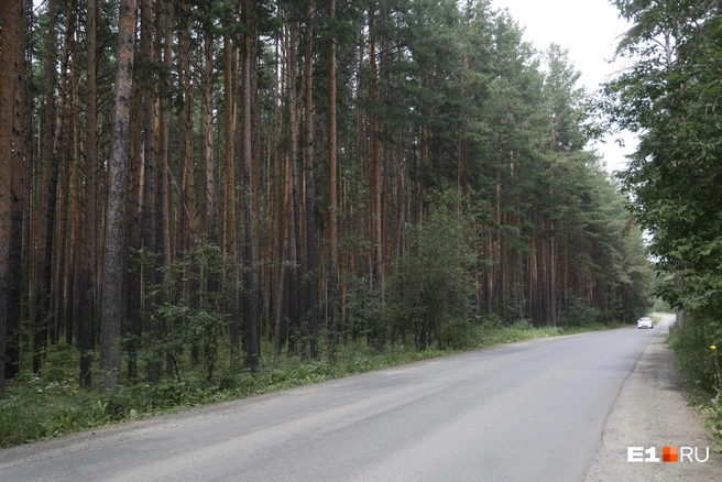 Мальчик умер на обочине дороги | Источник: Владислав Лоншаков / E1.RU