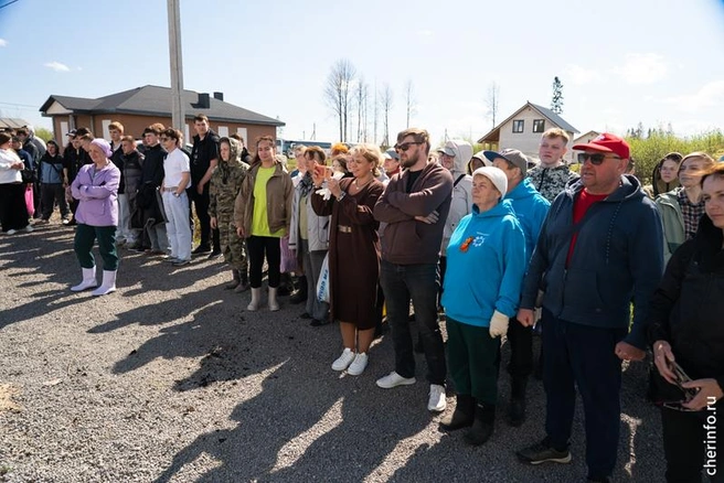 Источник: st.cherinfo.ru