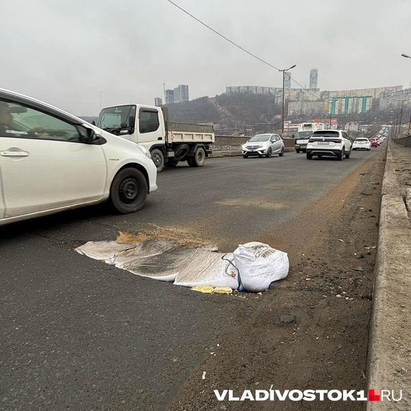 Источник: Елена Буйвол / VLADIVOSTOK1.RU