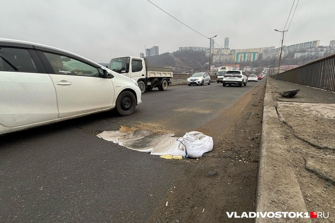Из-за строительства Рудневского под снос попадают две АЗС и крупные автосервисы | Источник: Елена Буйвол / VLADIVOSTOK1.RU