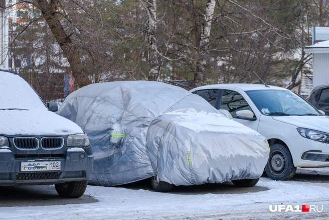 Держит в тепле своего пупсика | Источник: Булат Салихов / UFA1.RU