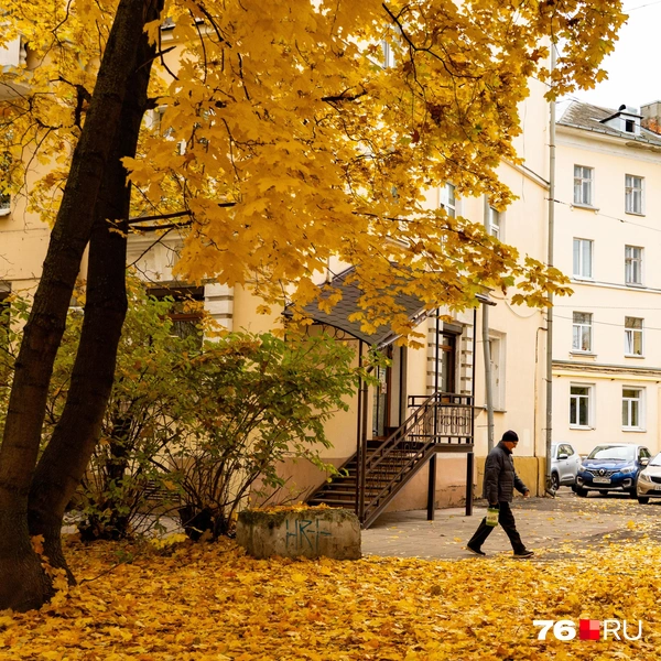 Так же рядом стоит сталинка, которую можно вписать в фотографии | Источник: Кирилл Поверинов / 76.RU