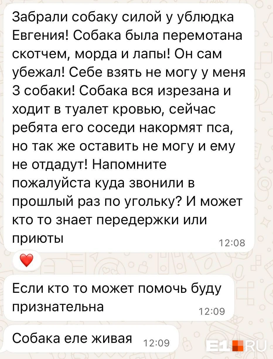 Источник: читатель E1.RU