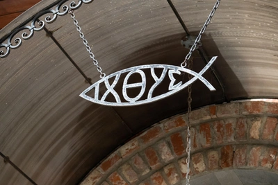 Used Sawfish Nose Sold in Vladivostok as Trophy or Sword