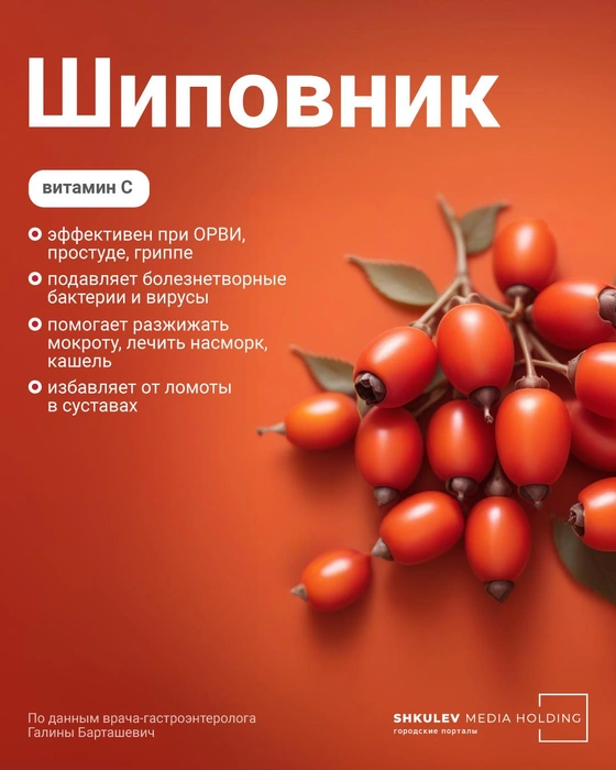 В борьбе с шиповником простуда бессильна | Источник: Полина Авдошина / Городские порталы