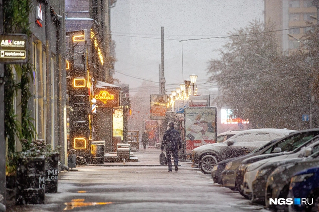 Количество осадков ожидается около нормы | Источник: Александр Ощепков / NGS.RU