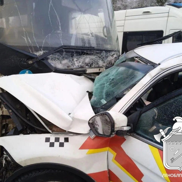 Последствия ДТП с автобусом и такси в Волосовском районе Ленобласти | Источник: ЛЕНОБЛПОЖСПАС