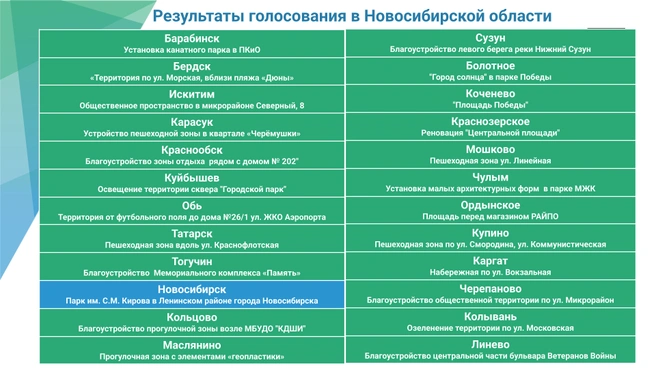 В Новосибирской области в голосовании участвовали 24 города и районных центра | Источник: Nso.ru