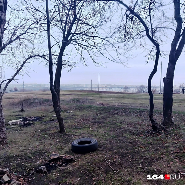 Источник: Сергей Гендин / 164.RU