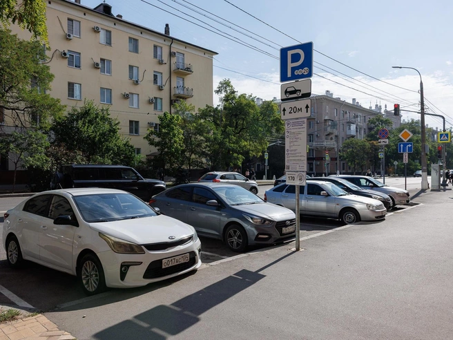 Бесплатно стоять можно, но ограниченному списку льготников, включенных в реестр | Источник: Алексей Волхонский / V1.RU