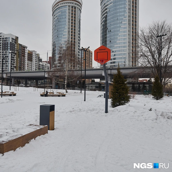 Установили в парке и баскетбольное кольцо, правда, как играть здесь с мячом, не совсем понятно: рядом площадка для воркаута, лавочка и мусорка. Довольно опасно | Источник: Александр Ощепков / NGS.RU