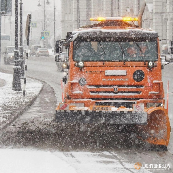 Источник: Михаил Огнев / FONTANKA.RU 