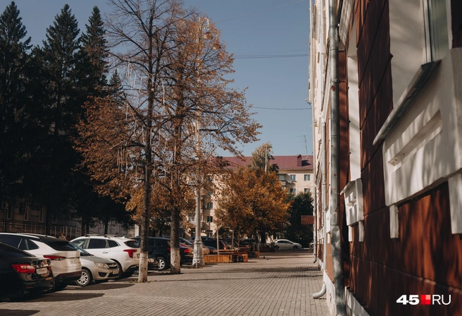 Источник: Наталья Панова