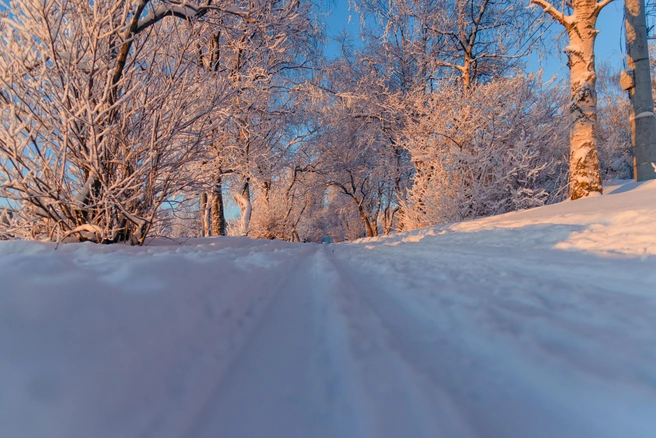 Туристы из Анжеро-Судженска не ожидали осеннего снегопада | 142.ru