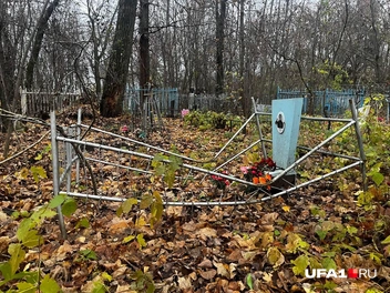 Источник: Екатерина Чижик / UFA1.RU
