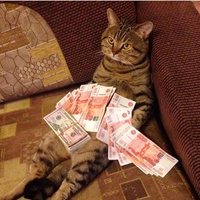 Аватарка Fabula