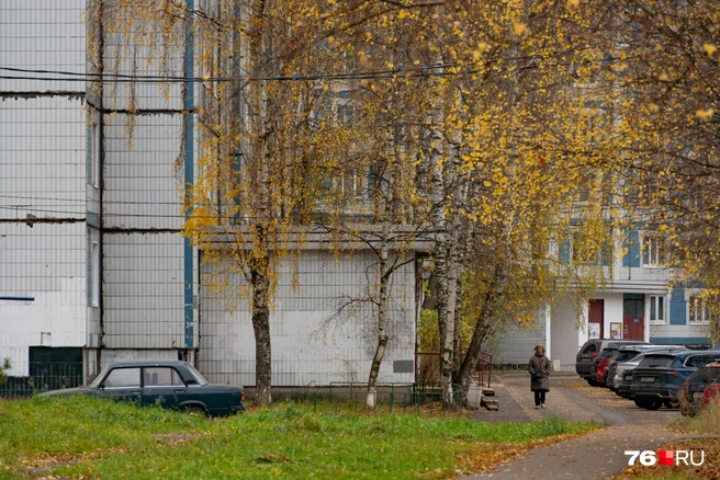 Во дворах царит спокойствие | Источник: Кирилл Поверинов / 76.RU