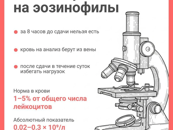 Источник: Юрий Орлов / NGS.RU