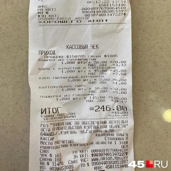 Чек за обед в 2022 году | Источник: Кирилл Митин / 45.RU