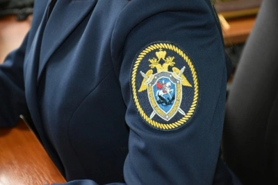 16-летняя жительница Каменки предстанет перед судом за кражу
