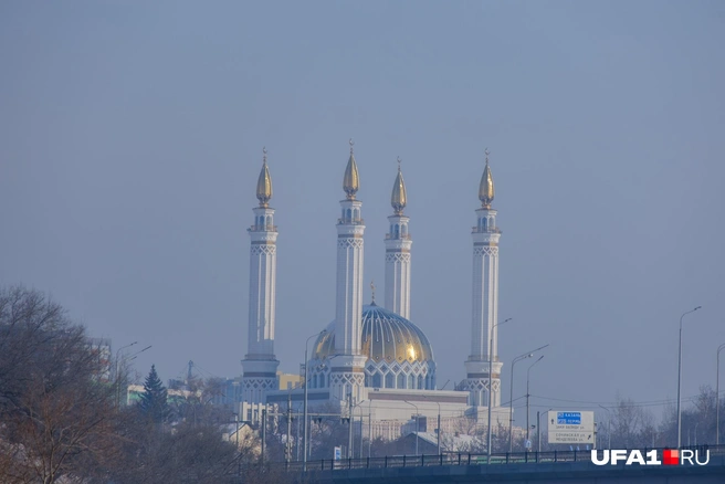 Виды можно поймать разные | Источник: Булат Салихов / UFA1.RU