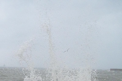 Глубокое землетрясение зафиксировали у Приморья