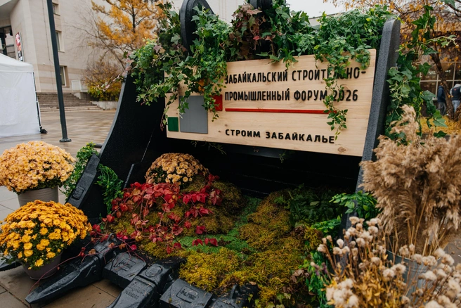 Источник: Ксения Зимина