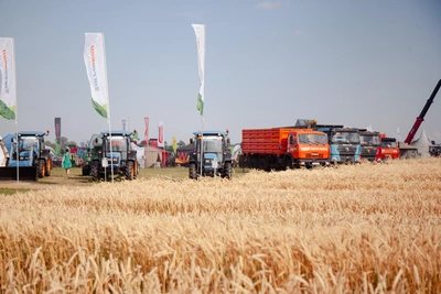 Российские аграрии сталкиваются с дефицитом семян