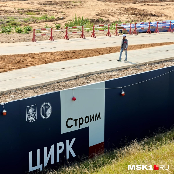 В некоторых местах уже проложили тропинку, чтобы носить стройматериалы | Источник: Дмитрий Толстошеев / MSK1.RU