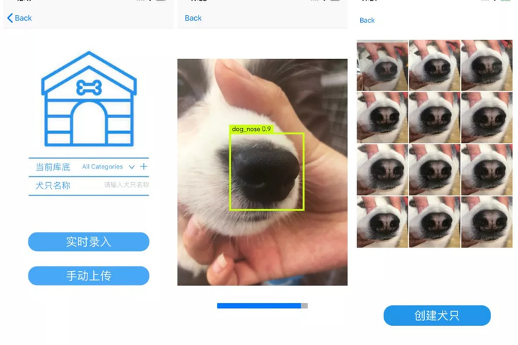 Китайский стартап поможет найти потерявшуюся собаку по отпечатку носа