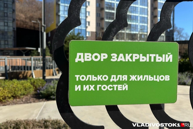 Источник: Елена Буйвол / VLADIVOSTOK1.RU