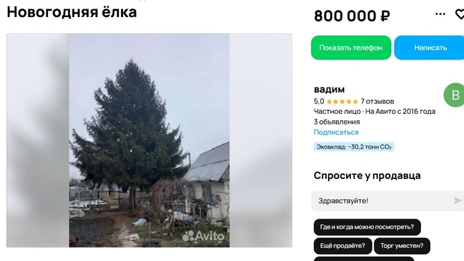 Источник: Авито