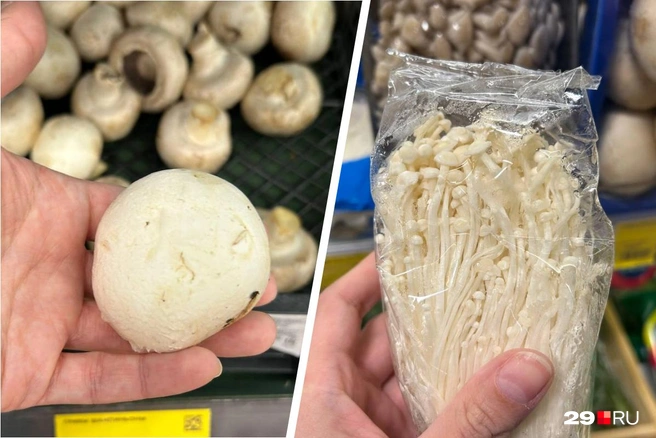 Обзор для тех, у кого нет запасов в холодильнике | Источник: Кристина Полевая / 29.RU