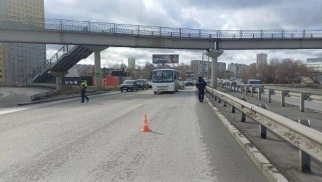 Погибший переходил дорогу в темноте в неположенном месте | Источник: Пресс-служб ГИБДД
