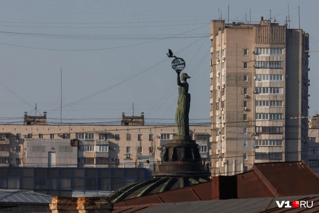Источник: Алексей Волхонский / V1.RU