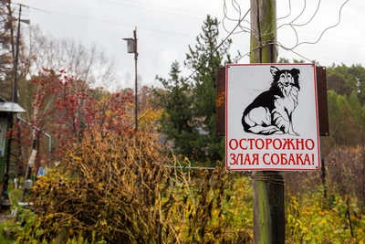 В Петербурге ввели обязательный стандарт таблички «Осторожно, собака»