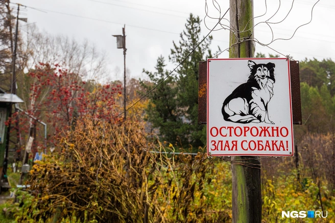 В Петербурге ввели обязательный стандарт таблички «Осторожно, собака» | Источник: Ольга Бурлакова / NGS.RU