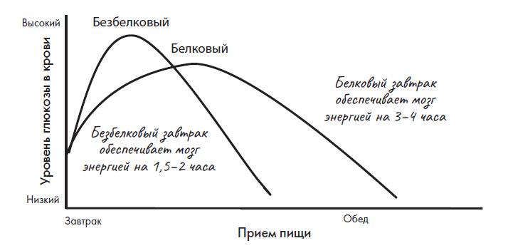 Белковый и безбелковый завтраки | Источник: илл. из книги Кристен Эллот, Наташи Дуарте «Не корми свою тревогу»