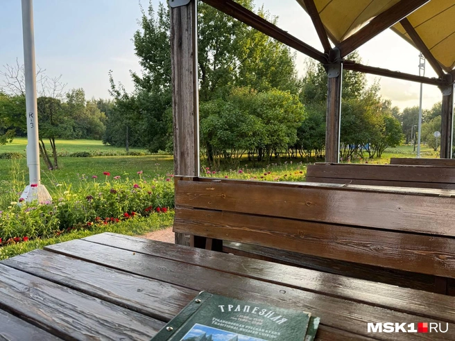 Место красивое, не поспоришь. Цветы рядом. Благодать | Источник: Анастасия Харитонова / MSK1.RU