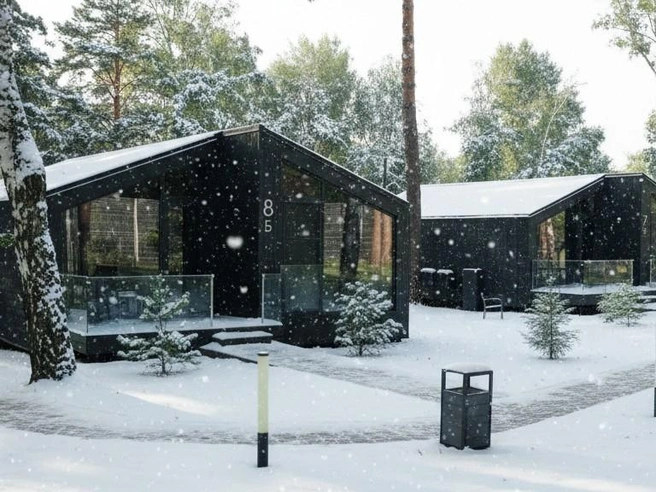 Отдых в настоящем лесу, среди хвои, тишины и чистого воздуха | Источник: «Сосновый бор»