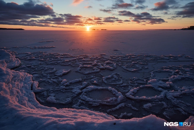 Источник: Александр Ощепков / NGS.RU