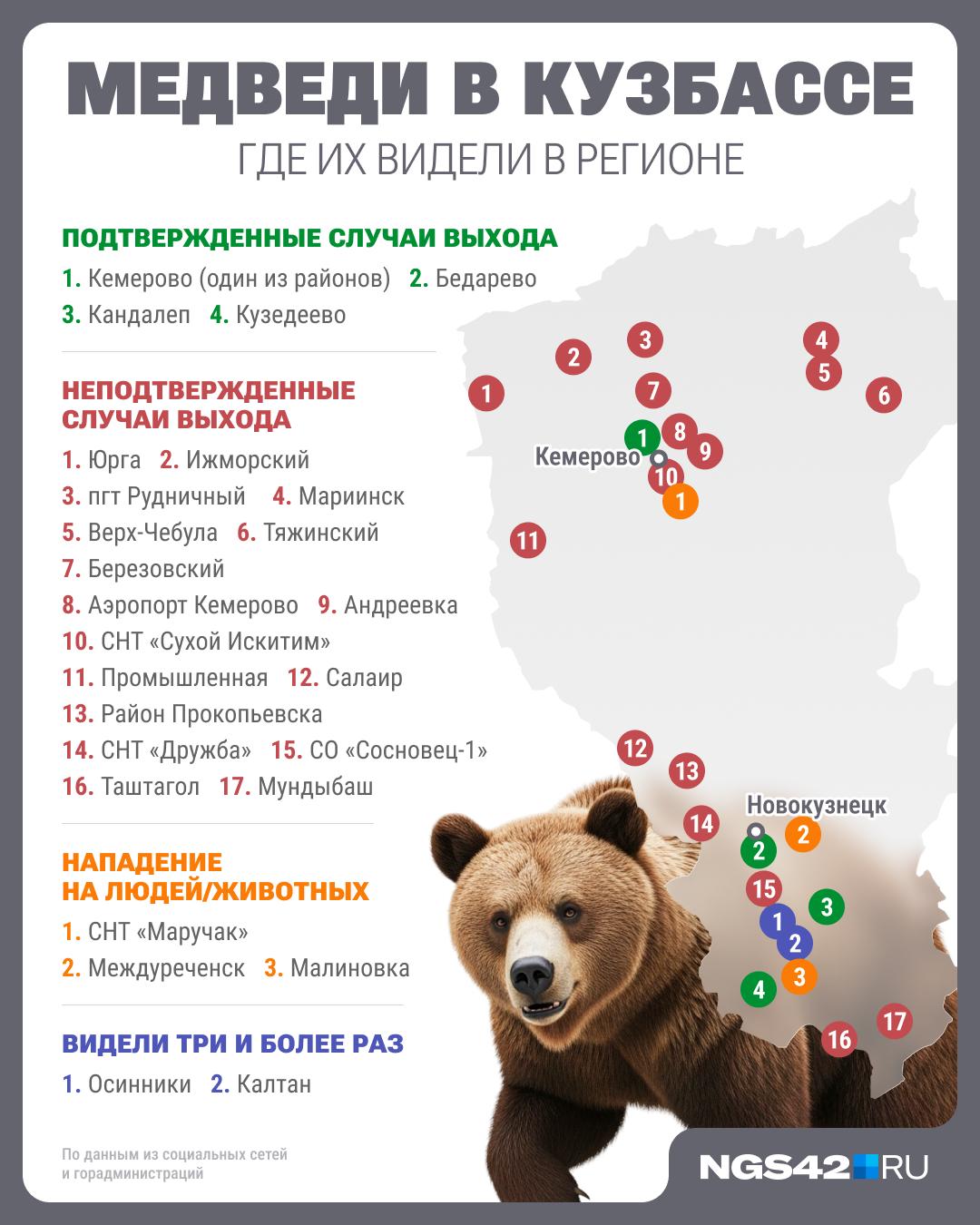 Засечь косолапого: смотрим на карте, где жители Кузбасса видели медведей чаще всего