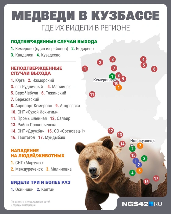 Источник: Городские медиа / NGS42.RU