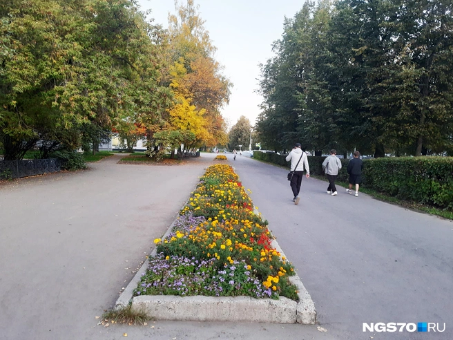 Улицы украшены красивыми клумбами | Источник: Анастасия Харламова / NGS70.RU