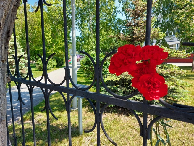Мама убитого студента НГТУ нашла парней, которые пытались спасти ее сына: она наконец узнала, как всё произошло На заборе вуза возле места, где произошло преступление, оставили гвоздики | Источник: предоставлено Екатериной Губаревой