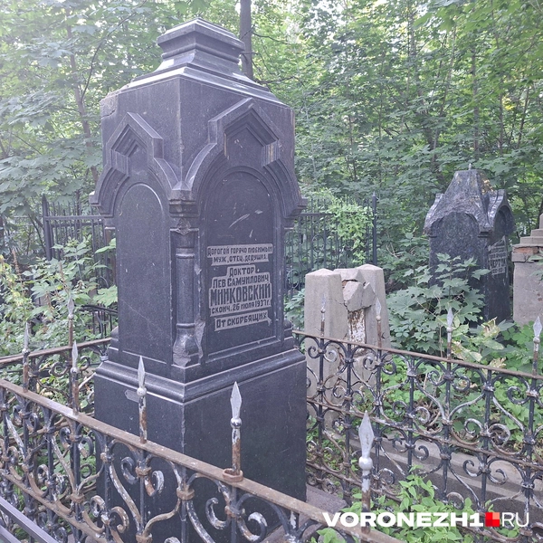 Источник: Алёна Воропаева / Voronezh1.ru