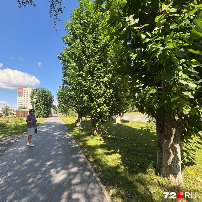 Дома в спальных микрорайонах Тобольске не стоят вплотную к дорогам, и это создает ощущение простора | Источник: Анастасия Жердина / 72.RU