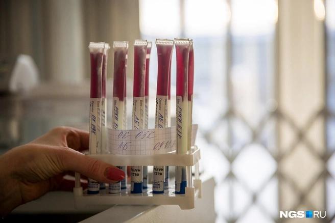 Причины заражения до сих пор продолжают устанавливать | Источник: Александр Ощепков / NGS.RU