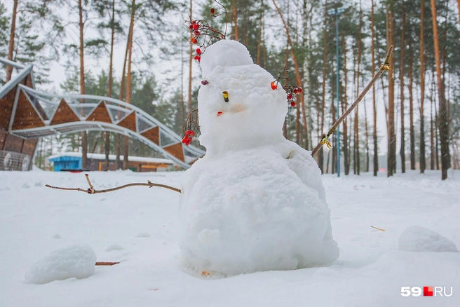 Если вы еще не успели слепить снеговика, поторопитесь! Скоро начнет теплеть | Источник: Тимофей Калмаков